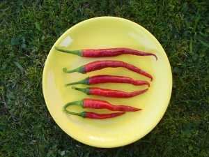 Cayenne Pfeffer