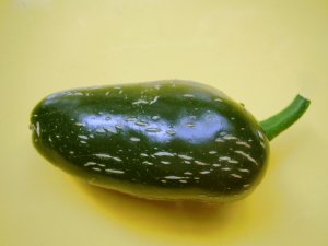 Jalapeno Chili