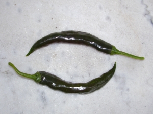 Chilaca Chili