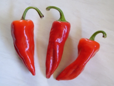 Piment d'Espelette